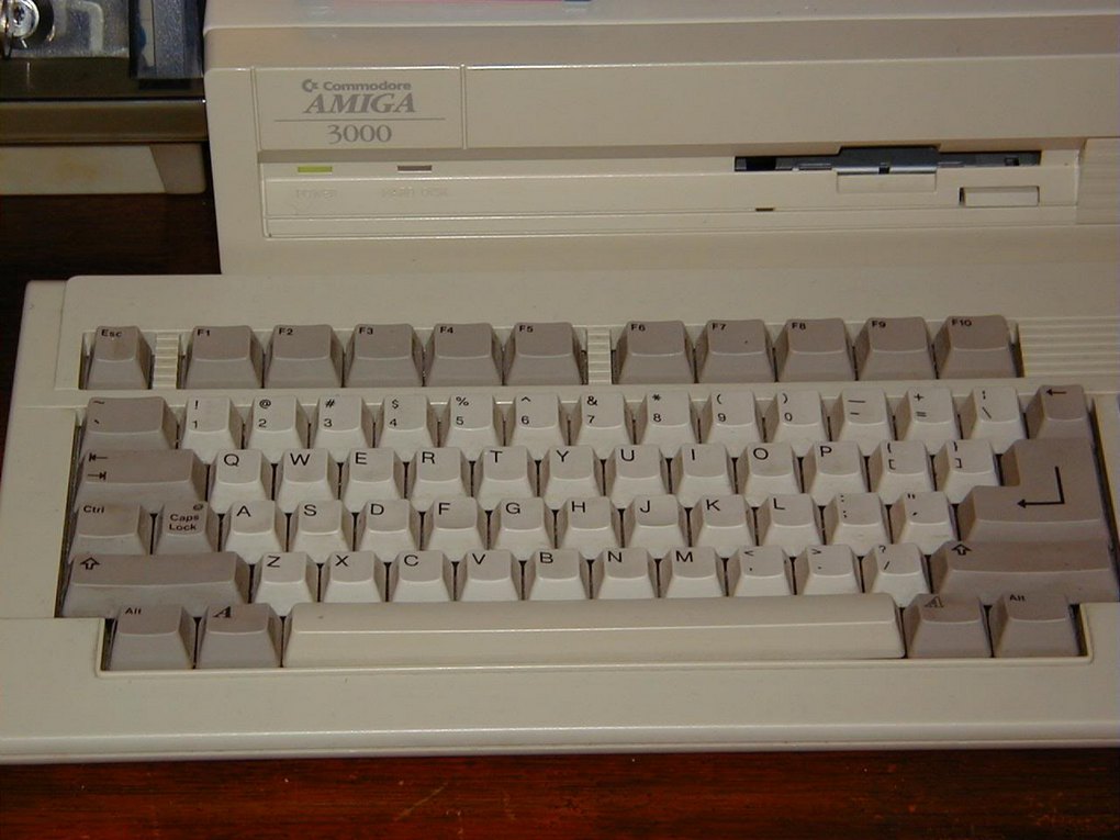 442877909qneywr_fs.jpg